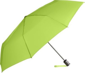 5095_lime.jpg